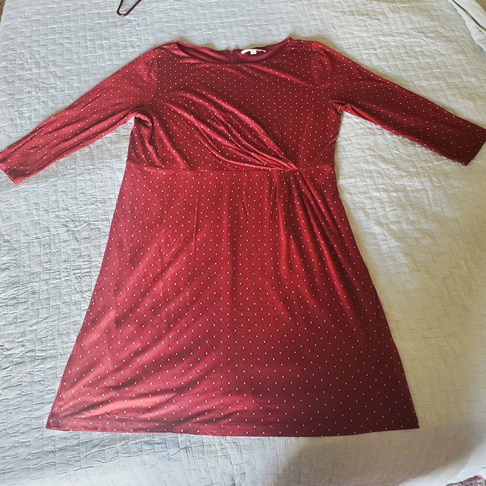 Ann Taylor Loft burgandy dress